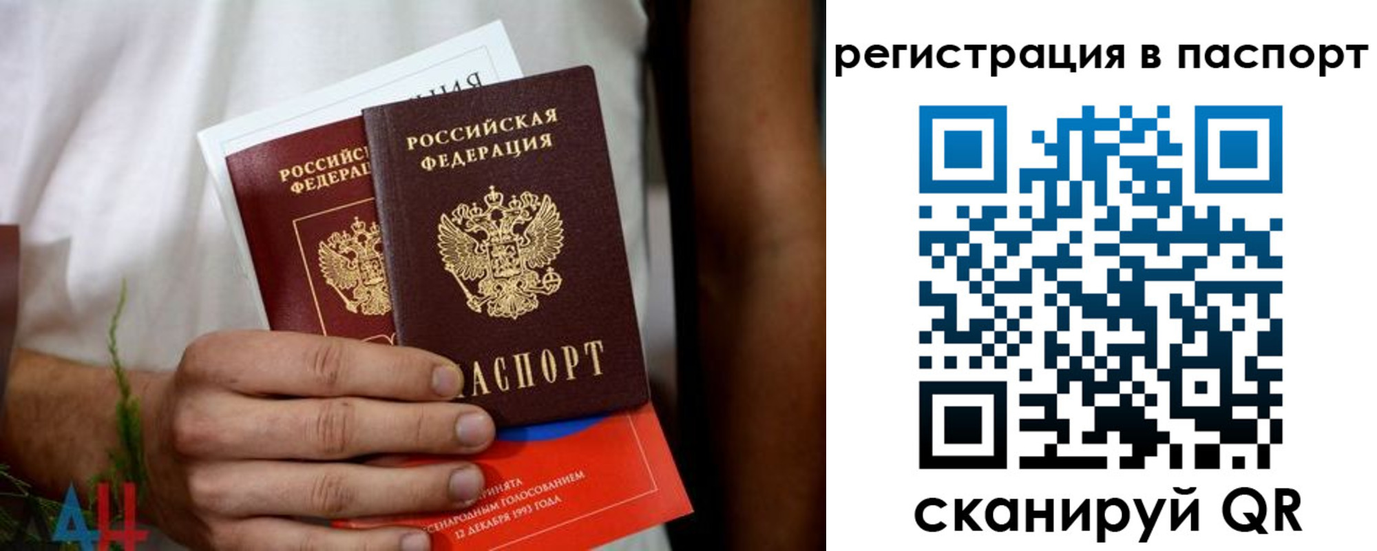 временная регистрация надежно в Североморске